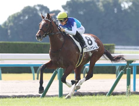 【朝日杯fs・山下の特注馬】前走の勝ち方が良かったアドマイヤズームが一角崩し 1勝馬でも侮れない Umatoku 馬トク