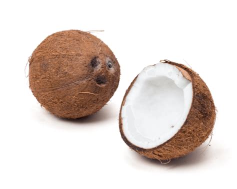 Coconut Png Pngs For Free Download