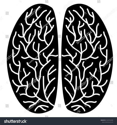 Diagram Human Brain Side View Anatomy Stock Vector (Royalty Free ...