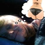 Gordita linda anal destrozada por director sucio compilación xHamster