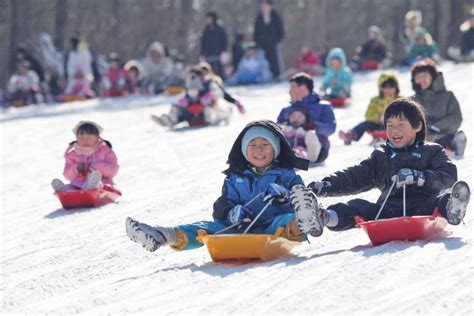 Nami Island And Elysian Gangchon Ski Resort Tour Snow Sled Hab