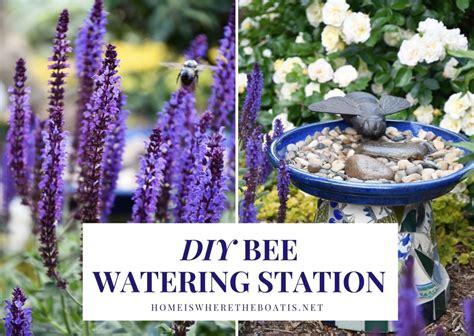 How To Make A Safe And Easy Bee Watering Station For Pollinators Home