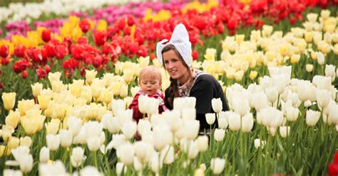 Lễ hội hoa tulip tại Hà Lan sự kiện không thể bỏ qua khi đến châu Âu