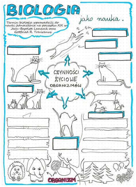 Biologia jako nauka sketchnotka do uzupełnienia biologia klasa 5