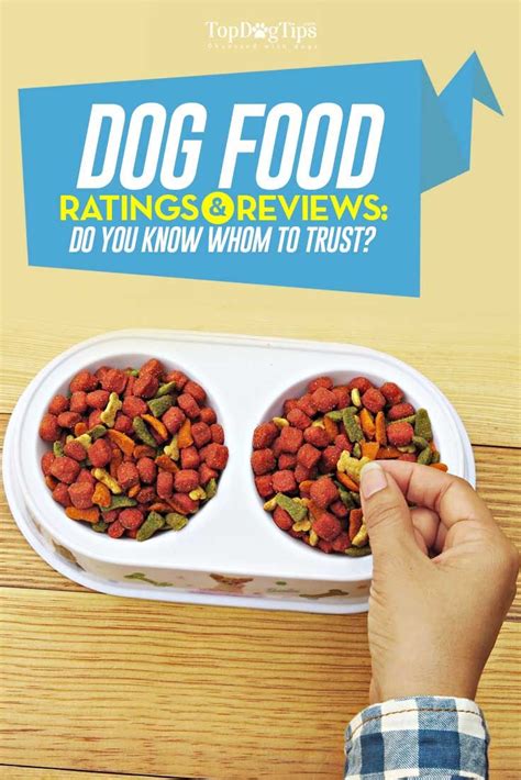 Dog Food Ratings: What You Need to Know About Dog Food Reviews ...