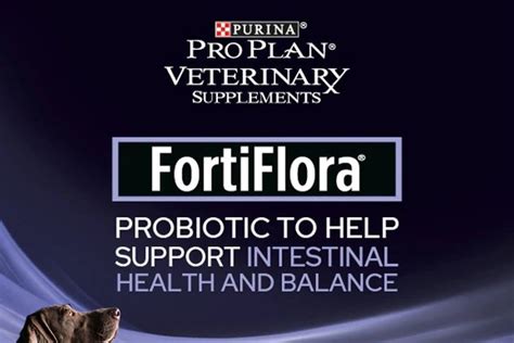 FortiFlora Powder: Everything You Need to Know Before You Buy — The Woof