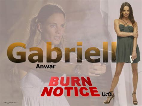 Burn Notice - Burn Notice Wallpaper (19852974) - Fanpop