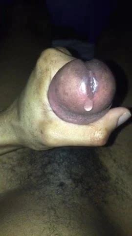 Squeezing Out Precum Gay Porn XHamster