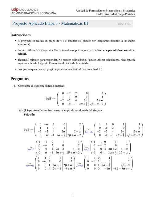 Pauta Etapa Mate Matrices Y Optimizaci N De Funciones