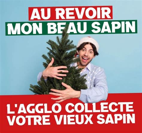 Collecte De Vieux Sapins Agglo B Ziers