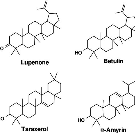 Structure of triterpenoids isolated from six mangrove leaves and roots.... | Download Scientific ...