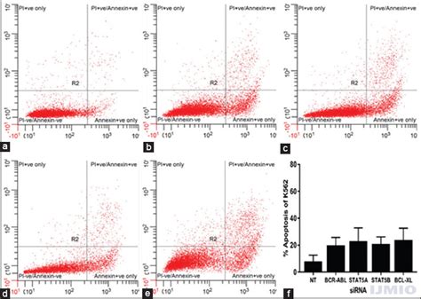 Multiple Gene Silencing In Pathway In K562 Cells International