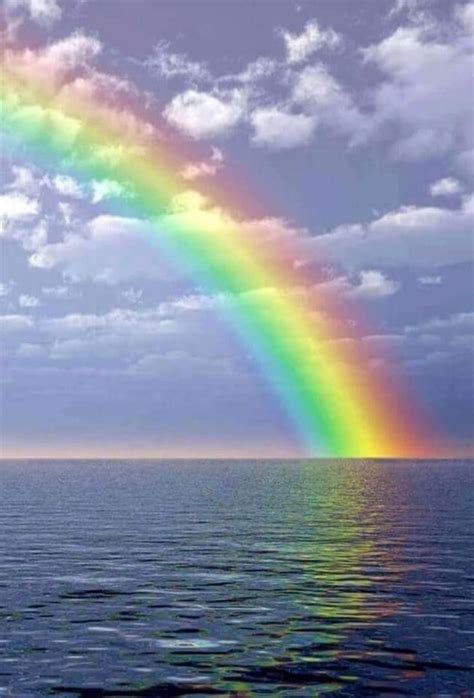 Pin By By Neuras On Salvamentos R Pidos In Rainbow Photography