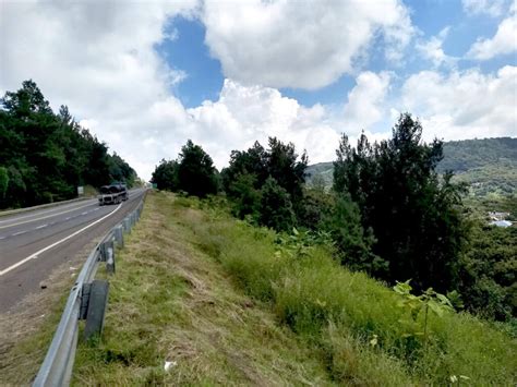 Cambio de Uso de Suelo en Terrenos Forestales Cóbano