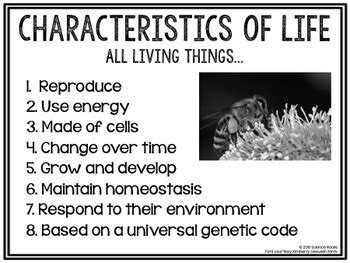 Characteristics of Life Poster by Science Lessons That Rock | TpT