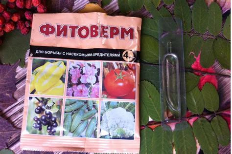 Фитоверм для комнатных растений: как разводить, инструкция по применению