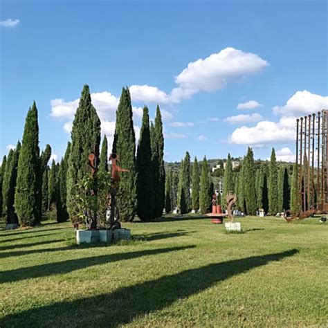 Cene E Picnic Sotto Le Stelle Cadenti Al Parco Darte Pazzagli A