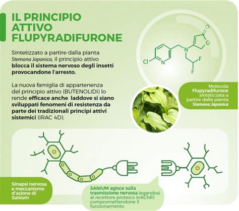 Sanium Giardino Insetticida Sistemico Agraria Di Vita