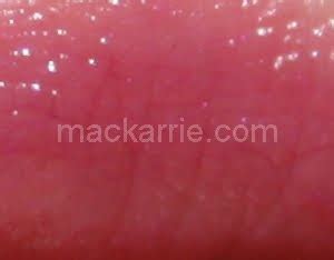 Mackarrie Beauty Style Blog Clinique Chubby Stick Voluptuous Violet