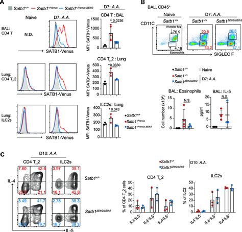 Satb Eth Functions To Regulate Satb Expression In Cd T H Cells