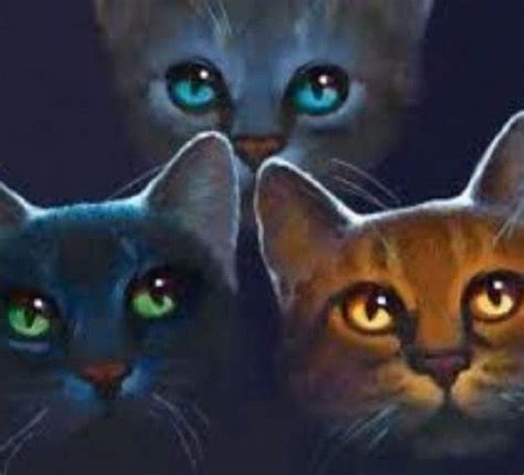 Power Of Three Hollyleaf Lionblaze And Jayfeather Warrior Cats