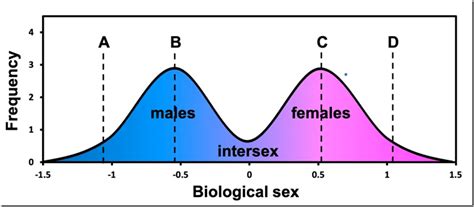 Bimodal Distribution