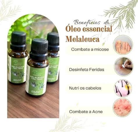 Qual O Melhor Oleo De Melaleuca - Óleo de Melaleuca: o que é, benefícios e como usar