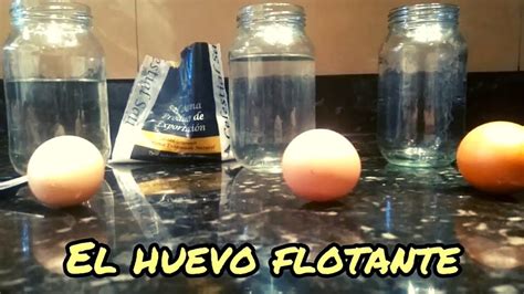 Experimento De Huevo Flotante Densidad YouTube