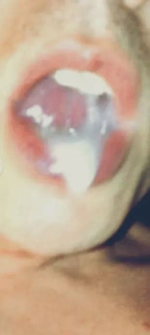 Schwanz Lutscher Andy Nude Pics XHamster