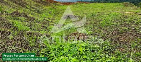 Kerusakan Top soil: Penyebab dan Solusi Pemulihan