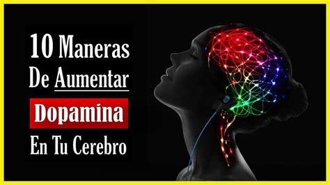 Que Es La Dopamina En El Cerebro Humano Sclubfery