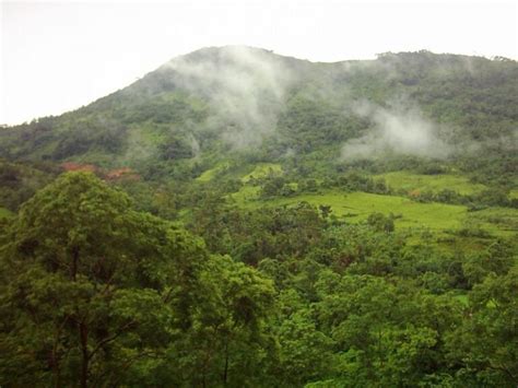 Daftar Gunung Di Pegunungan Meratus Dan Wisatanya Kata Omed