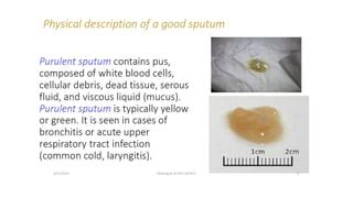 Sputum examination | PPT