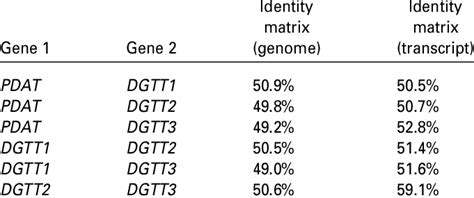 Pair Wise Sequence Similarity Between Tag Biosynthetic Genes Calculated