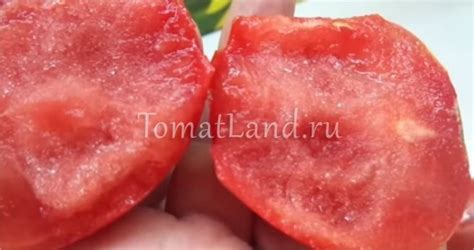 Томат Клуша: описание сорта, ОТЗЫВЫ (29), фото | tomatland.ru