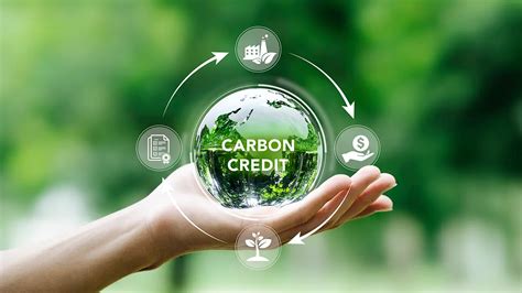 Maximizing Impact The Role Of Carbon Credit And Carbon Offsetting In