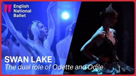 Swan Lake The Dual Role Of Odette And Odile English National Ballet