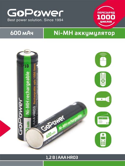 Gopower Аккумуляторная батарейка Aaa 1 2 В 600 мАч 2 шт купить с