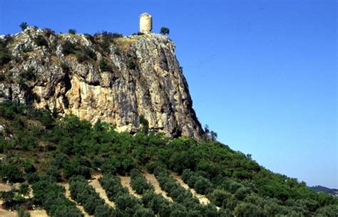 El Mundo Rural Andaluz Se Rejuvenece Este Verano Con Los Campos De