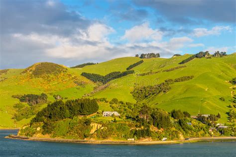 New Zealand Otago Region Coastal Landscape Stock Photo Image Of