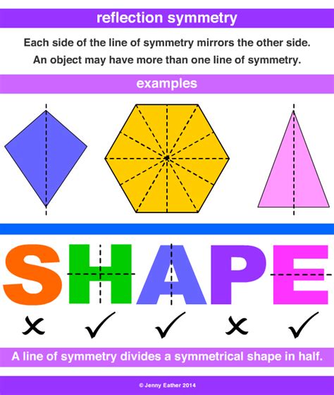 reflection symmetry ~ A Maths Dictionary for Kids Quick Reference by Jenny Eather