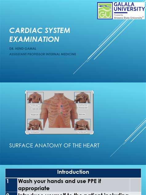 Cardiac Examination | PDF | Heart | Lung