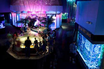 Mystic Aquarium General Admission Ticket 2024