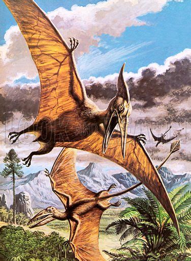 Terrifying Pterosaurs Historical Articles And Illustrationshistorical