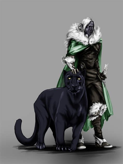 Drizzt Do Urden Wallpaper 78 Images