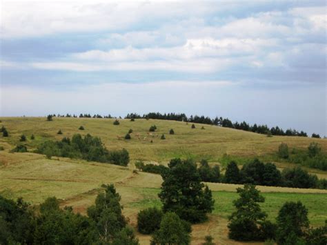 PSK Pobeda DAN ČISTIH PLANINA Rajac Dobra voda