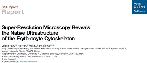 超分辨成像澄清红细胞骨架核心组分血影蛋白生理长度的疑问 企业官网