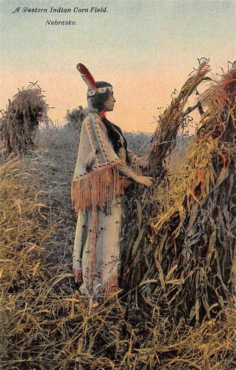 Native American Woman Indian Corn Field Nebraska 1910c | Etsy | Native ...