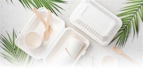 The Best Types Of Packaging Materials For Foodservice Use