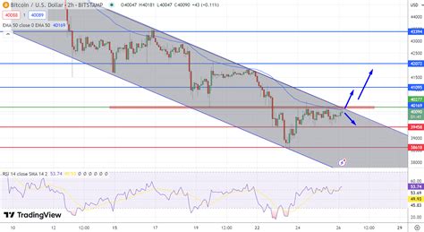 توقعات سعر البيتكوين يرتفع إلى 40125 دولارًا وسط ملكية البيتكوين العربي